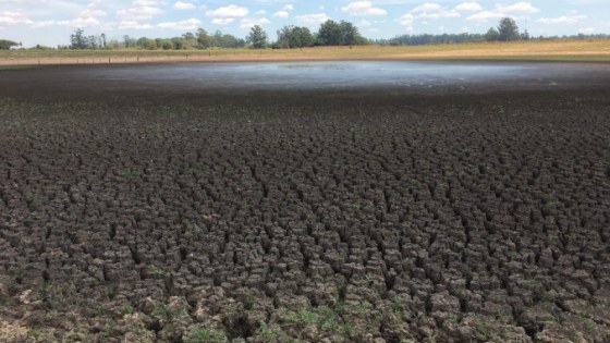 Restaurar la tierra para enfrentar la crisis de degradación