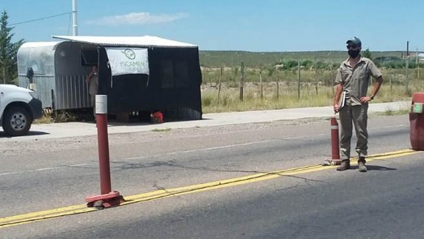 Polilla de la vid: ISCAMEN instaló un puesto de control transitorio en Pareditas