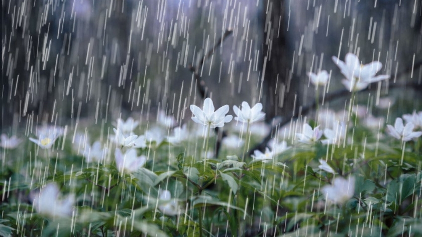 Alerta amarilla por tormentas y nevadas en varias provincias de Argentina