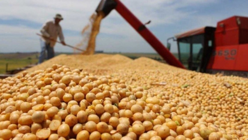 La AFIP incautó más de 3 mil toneladas de granos en Córdoba