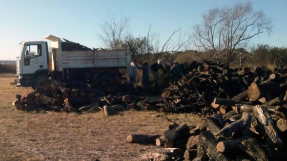 Donación de leña: Policía Ambiental entregó más de 30 toneladas