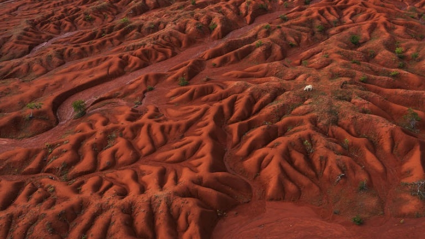 El Cerrado brasileño está más cálido y seco como consecuencia de la deforestación