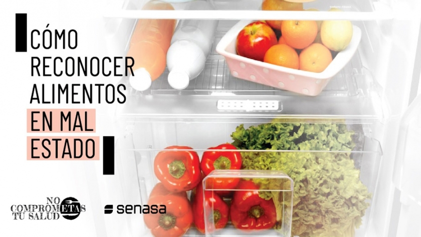 Cómo reconocer alimentos en mal estado para prevenir enfermedades