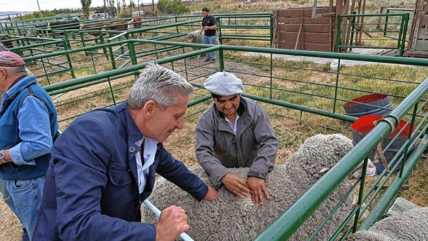 Arcioni recorrió la tradicional Exposición Agrícola y de Carnero a Campo en Sarmiento y entregó un aporte económico
