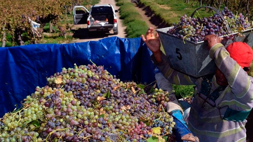 Con foco en la vendimia, el INTI firmó un acuerdo técnico con el Instituto de Vitivinicultura