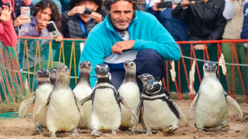 Salvar la vida de las especies amenazadas, la complicada labor de los centros de rescate del país