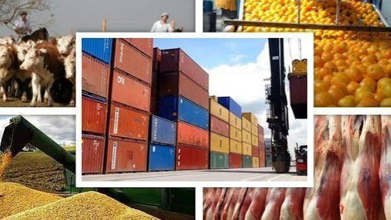 Las exportaciones agroindustriales marcaron un récord y superaron las 74 millones de toneladas