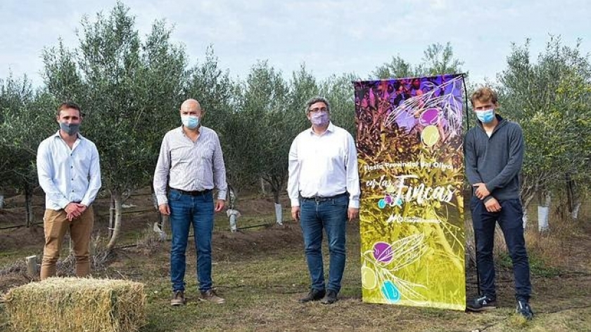 El ministro Rodríguez Destacó La Calidad De La Producción Olivícola Bonaerense