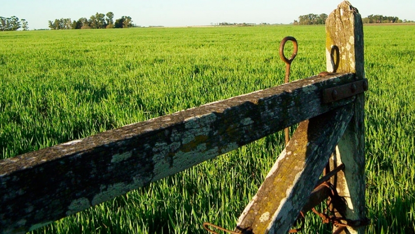 Observatorio de Córdoba estudia los mercados inmobiliarios urbanos y rurales