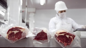 Carne vacuna: precios récord en el mundo y la Argentina sigue sin aprovechar la oportunidad por el estancamiento del rodeo