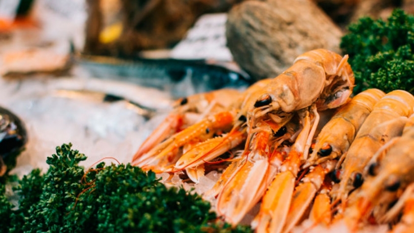 El langostino argentino vuelve al mercado brasilero