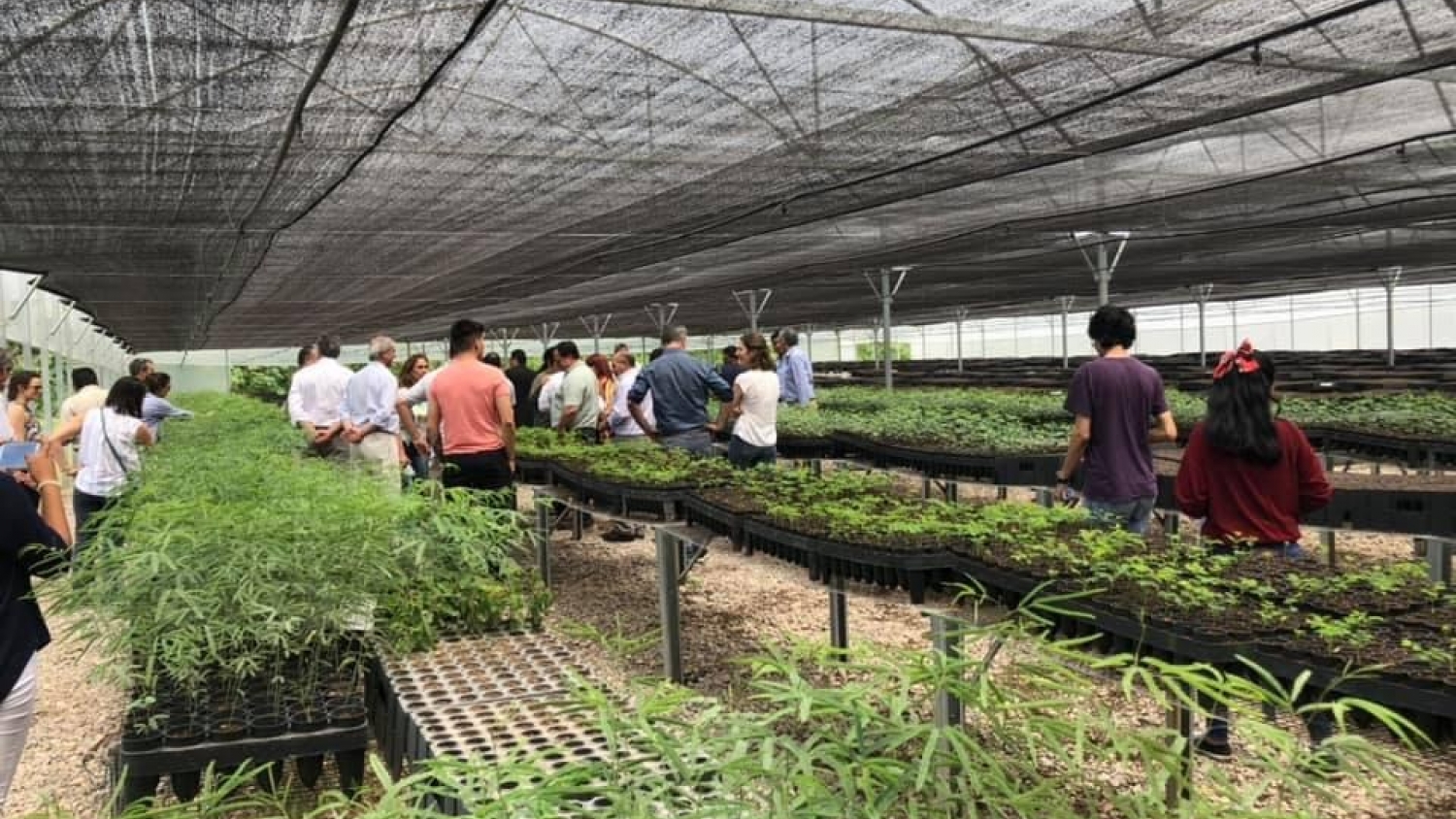 Orán amplía la producción de su vivero forestal con un acuerdo con la Sociedad Rural Salteña