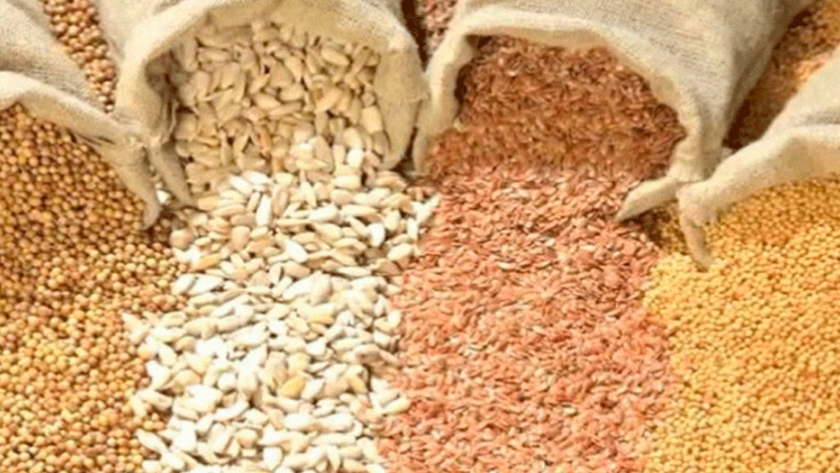 Un sector clave en la cadena agroalimentaria