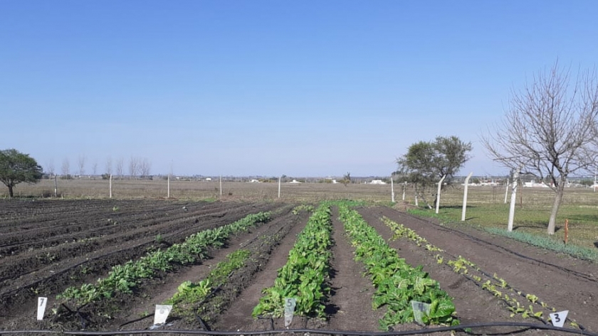 Entre Ríos: Inscripción de productores familiares en el Renspa y en el Renaf