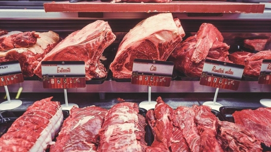 Argentina pierde terreno en el Mercosur: es el único país del bloque que redujo sus exportaciones de carne