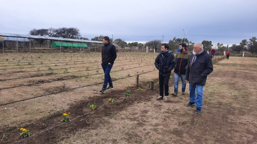 Metileo impulsa actividades productivas con valor agregado