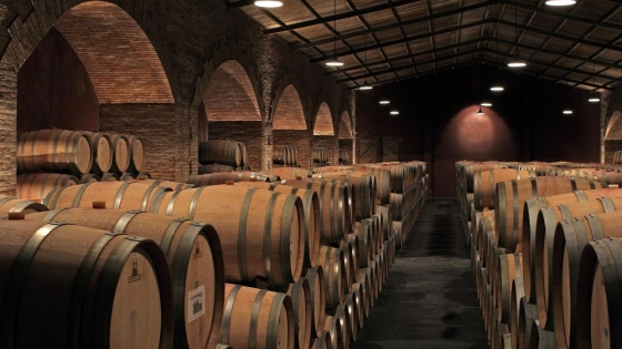 Se potenciará a la vitivinicultura sanjuanina con medidas que mejorarán la competitividad