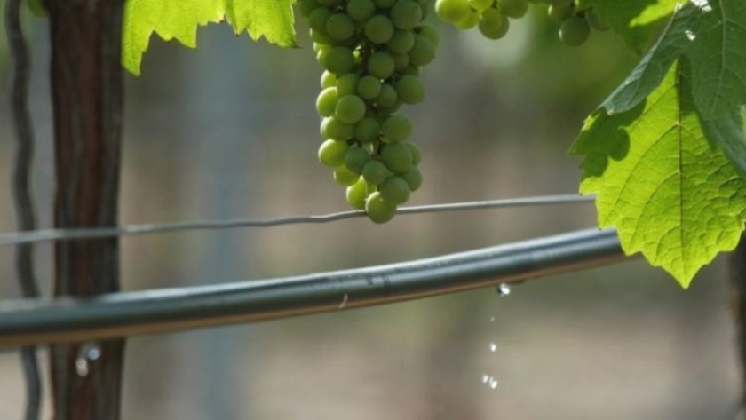 Mendoza destinará $500 millones en créditos para mitigación del riesgo climático y manejo de recursos hídricos