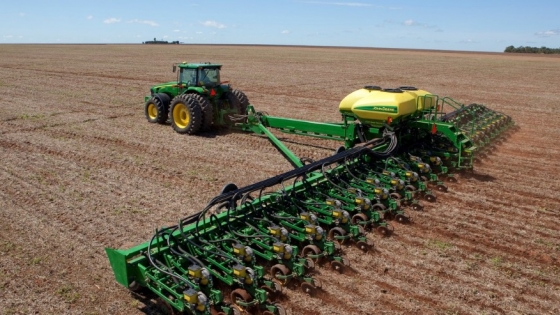 Girasol: la campaña 2026/27 apunta a 3 millones de hectáreas mientras crecen la molienda y las exportaciones