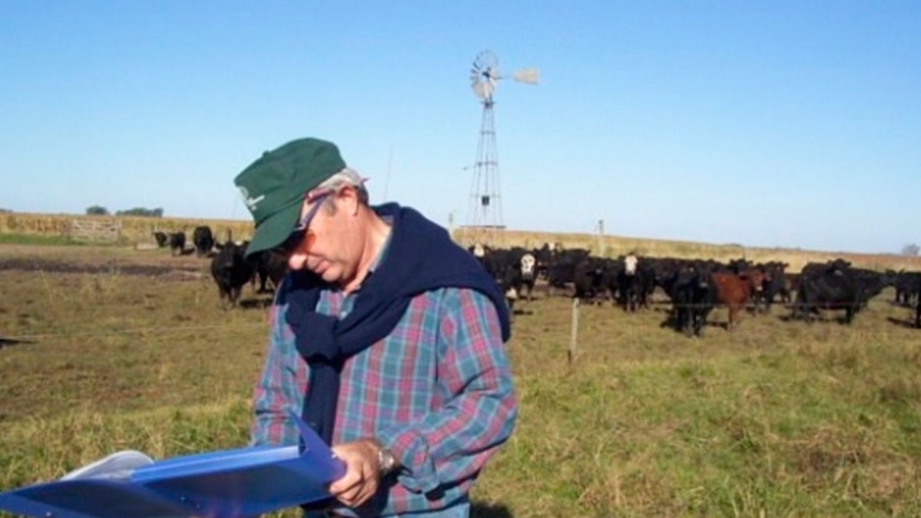 Avatares de lotes agrícolas que volvieron a la ganadería