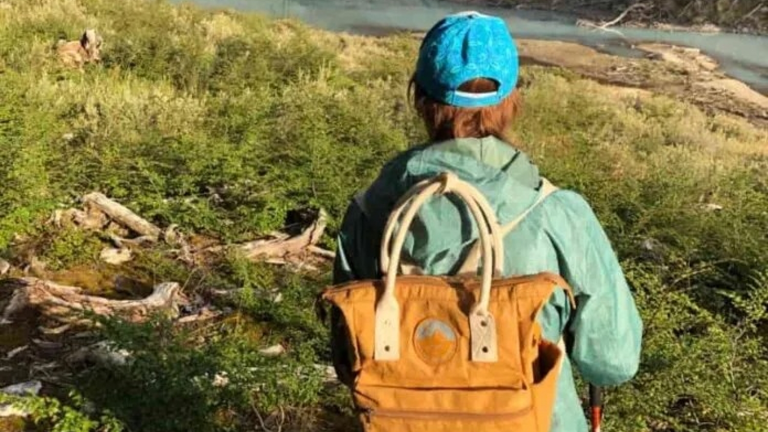 Del papel al diseño urbano: el kraft reciclable conquista las vidrieras argentinas