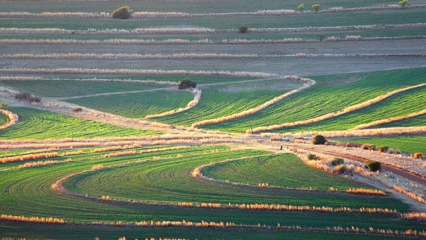 Sudáfrica: agricultores de subsistencia asediados por la ocupación de tierras