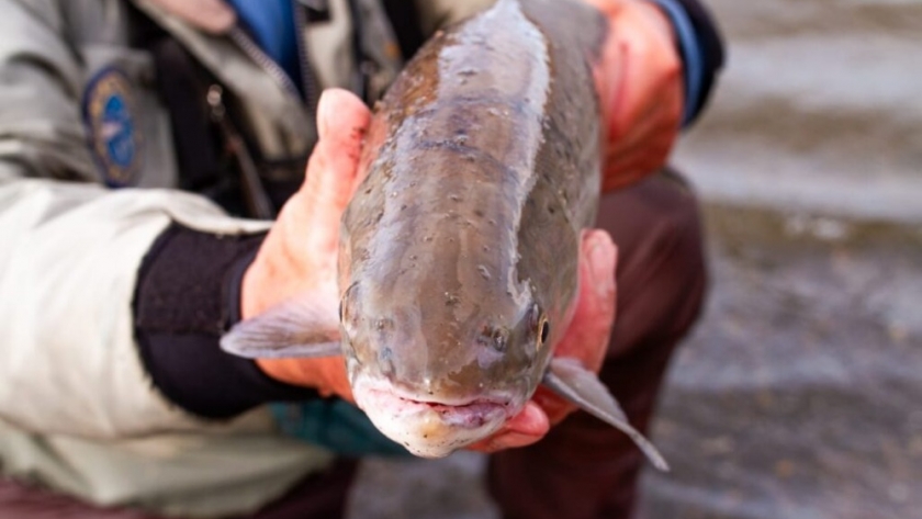 Inicia la Temporada de Pesca Deportiva 2023-2024 en la provincia
