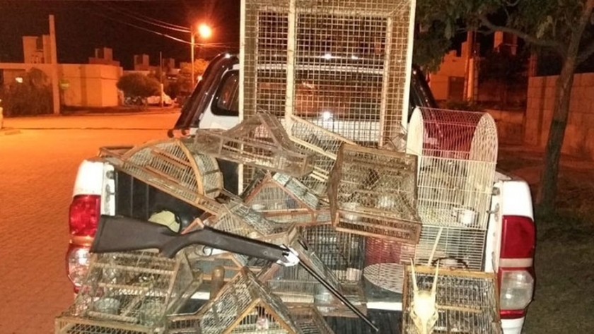 Decomisan aves canoras, trampas, jaulas en  Fray Mamerto Esquiú