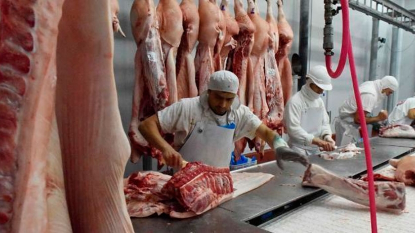 : Luz verde para los cerdos: con el precio del capón a la altura del novillito, crece la faena