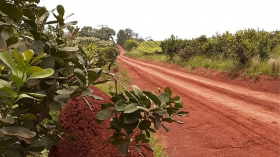 San Vicente mejora infraestructura vial y agroindustrial