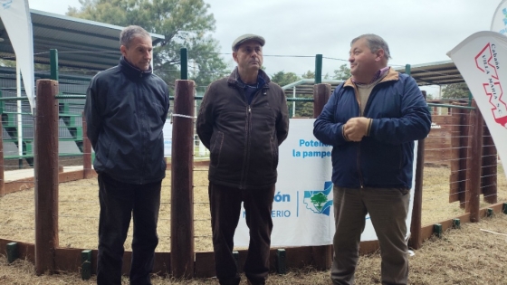 La Pampa fortalece la formación en genética bovina con una jornada de clasificación fenotípica para futuros veterinarios