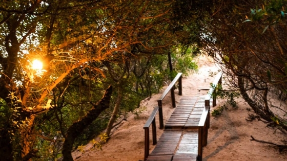 Mar Azul: la playa tranquila con bosque y médanos ideal para el fin de semana largo de agosto
