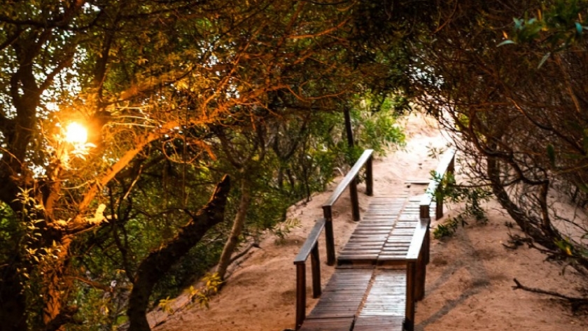 Mar Azul: la playa tranquila con bosque y médanos ideal para el fin de semana largo de agosto