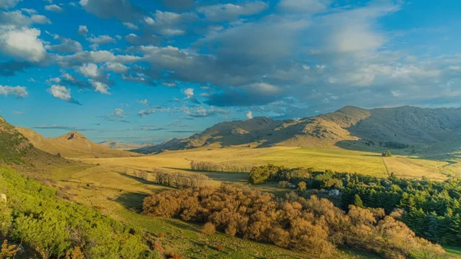 Pigüé, el destino bonaerense con historia francesa y sierras