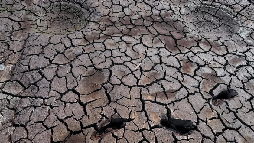 Temperatura récord, cosechas perdidas y apagones: el triple impacto de la sequía global