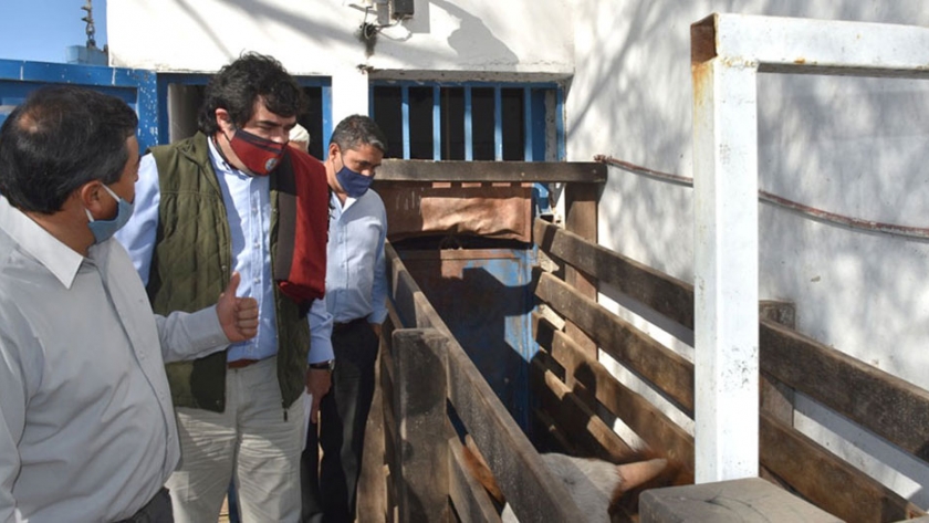 Se suma La Candelaria al plan de acondicionamiento de mataderos municipales