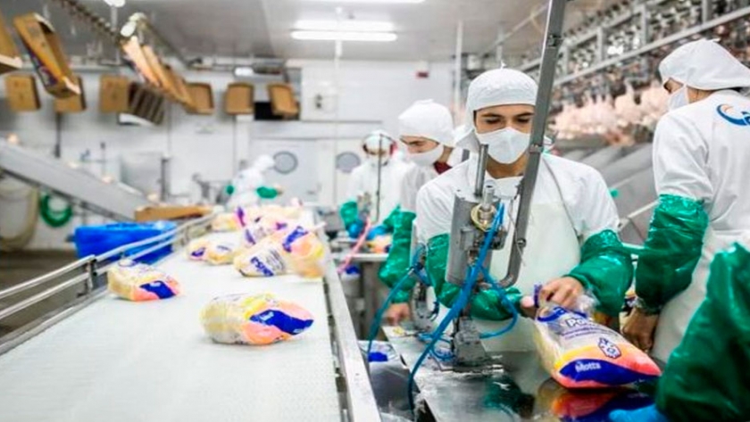 Empresarios avícolas sostienen que el precio del pollo en el mercado debería ser 120 pesos