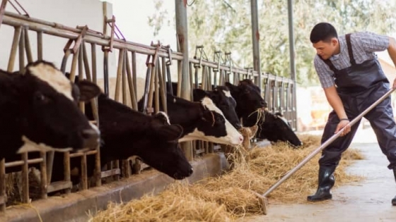 Estados Unidos: ¿Cómo benefician a los productores las exportaciones de productos lácteos?
