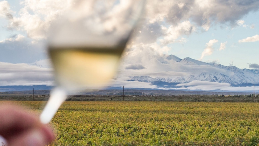 La provincia de Neuquén participará en la Expo Vinos de la Patagonia