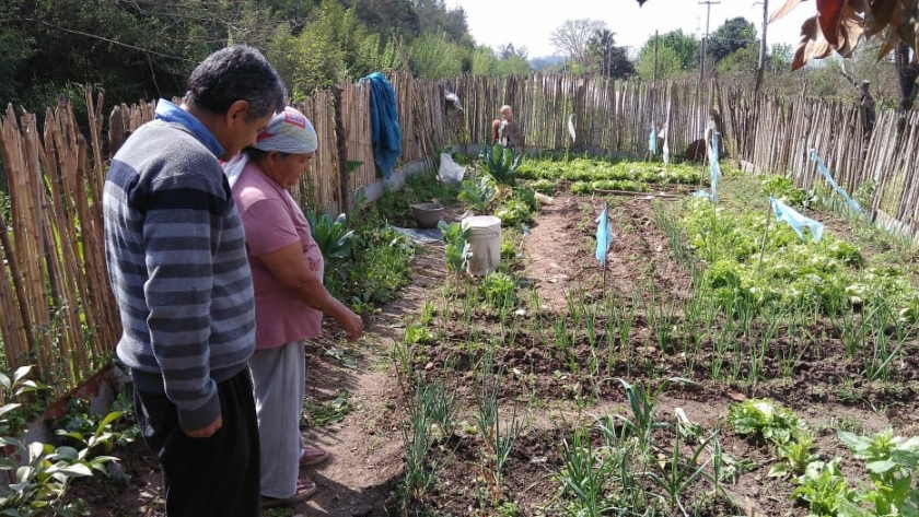 Fortalecimiento de huertas familiares, comunitarias y escolares