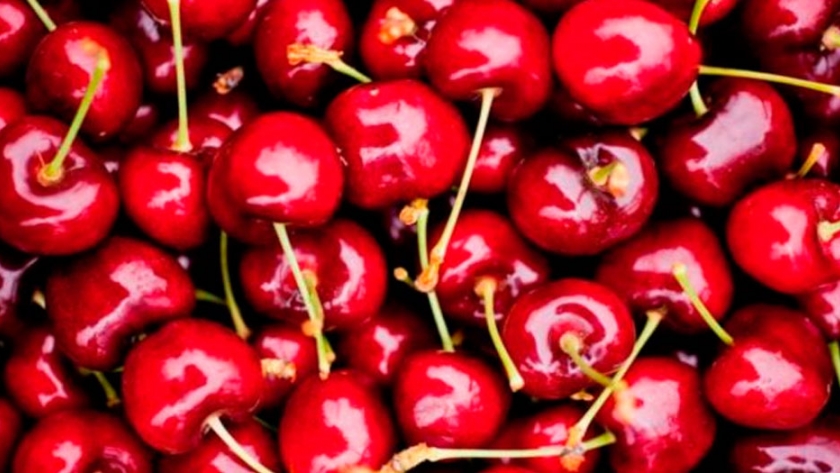 Neuquén exportó 755 tn de cerezas a China