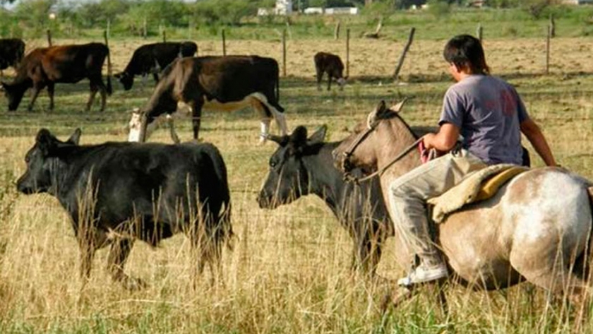Lanzan un plan de regularización registral de trabajadores rurales