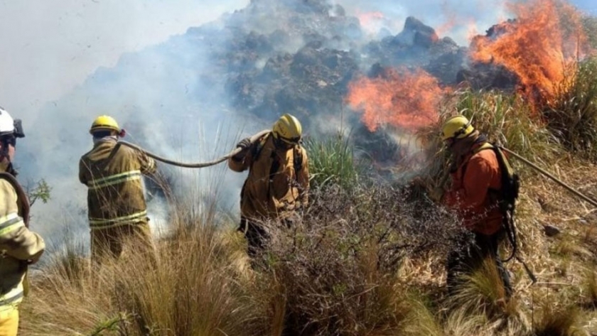 No se registraron incendios forestales en la provincia