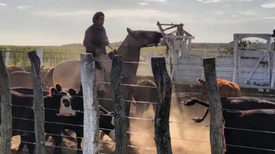 Del campo a la pantalla: el productor agropecuario redefine su rol en la era digital