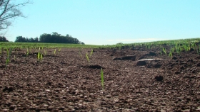 El 36 % del suelo argentino sufre procesos de erosión