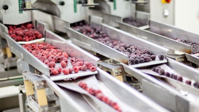 El impulso de las atmósferas modificadas para la conservación y exportación de alimentos