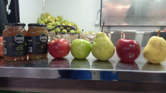 Los fruteros del Alto Valle dicen presente: calidad patagónica con destino global