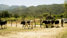 Prevencion de enfermedades transmisibles de los animales a las personas