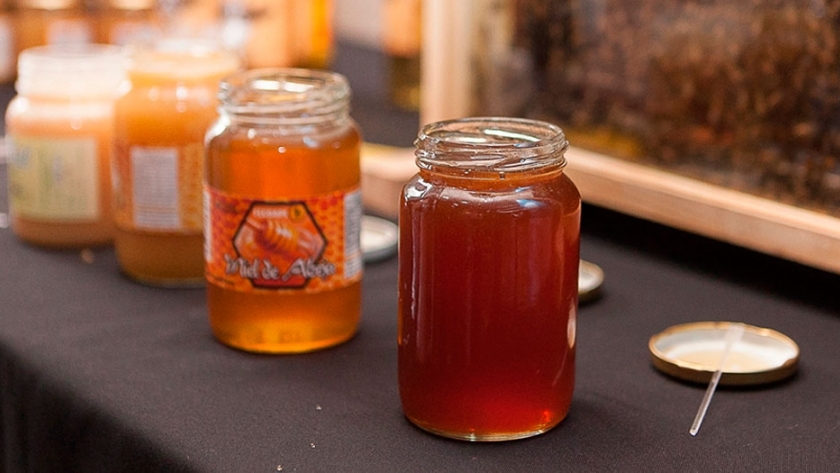 La miel es elegida por miles de consumidores por su perfecta combinación de endulzante natural y salud