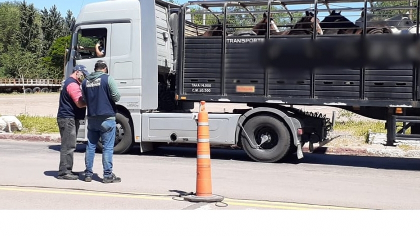 En resguardo de la salud se realizaron controles de alimentos en rutas de La Pampa